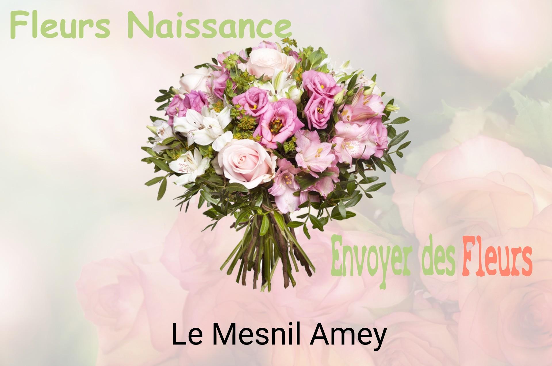 Bouquet de fleurs de naissance livré à Le Mesnil-Amey